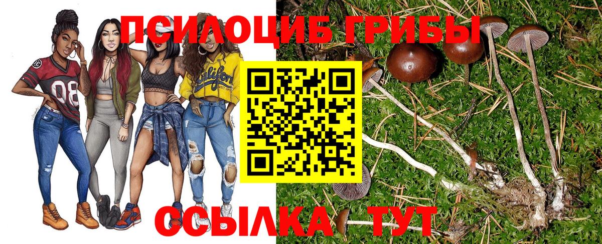 Партизанск  Галлюциногенные грибы мицелий  Вход с VPN  Галлюциногенные грибы Psilocybe 