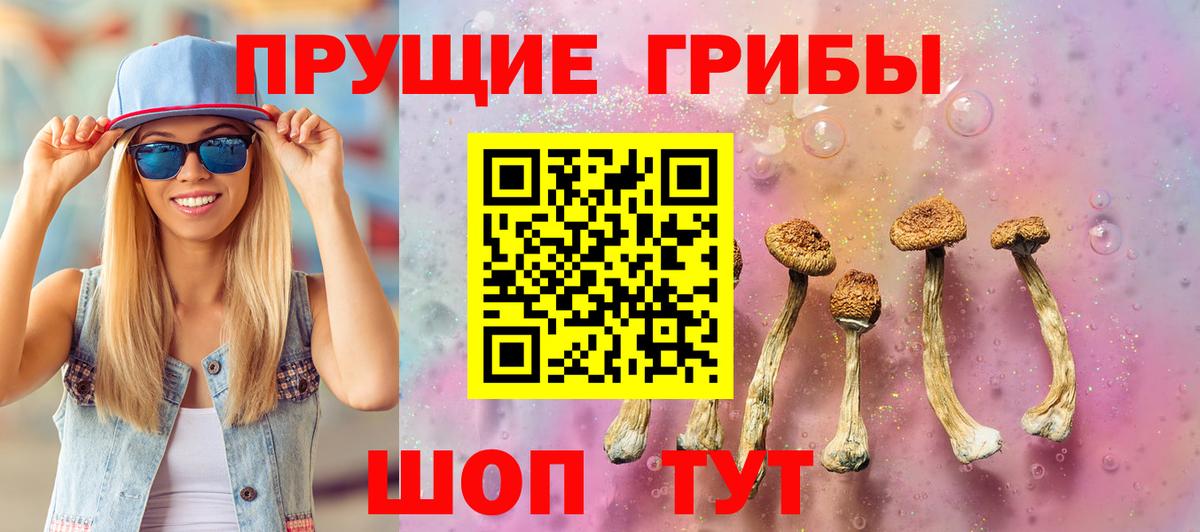 Псилоцибиновые грибы ЛСД Партизанск